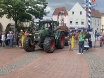 samstag (65)